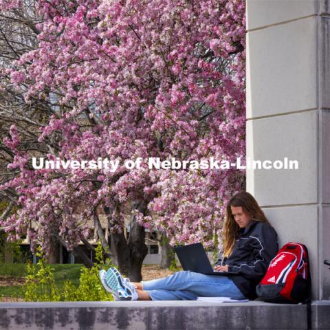 Audrey Freyhof, a junior from Hamilton, Michigan, studies amongst the flowering trees on the ledge of the Meier Commons. Spring on City Campus. April 15, 2021. Photo by Craig Chandler / University Communication.