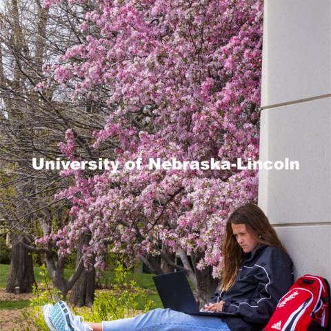 Audrey Freyhof, a junior from Hamilton, Michigan, studies amongst the flowering trees on the ledge of the Meier Commons. Spring on City Campus. April 15, 2021. Photo by Craig Chandler / University Communication.