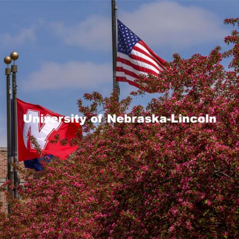 The University of Nebraska Flag and the American flag wave above the flowering trees on City Campus. Spring on City Campus. April 15, 2021. Photo by Craig Chandler / University Communication.