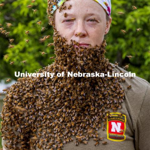 First-time beekeepers juggle insects and hive threats - News Nebraska