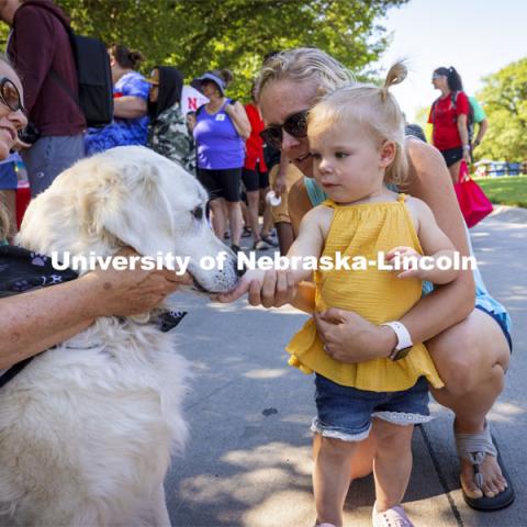 Elsie Koehn makes a friend as she and her mom, Lindsay, meet Louie and her owner, Abby Clutter, with Healing Heart Therapy Dogs. The East Campus Discovery Days and Farmer’s Market at UNL is a fun, family-friendly event for all ages. It’s more than a farmer’s market. It’s more than a science day. Come for the hands-on, science-focused fun. Stay to enjoy live music and food trucks. Shop at our farmer’s market and vendor fair. June 12, 2021. Photo by Craig Chandler / University Communication.