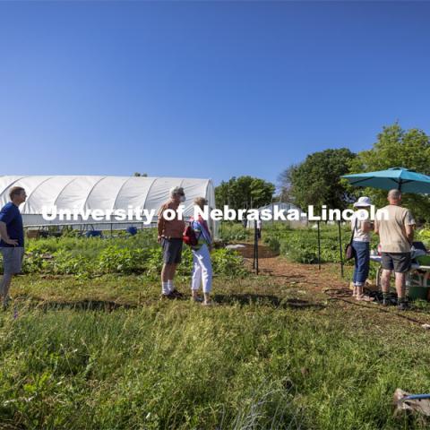 Students work in the Student Organic Garden on East Campus while CSA (Community Supported Agriculture) members pick up their produce. June 12, 2021. Photo by Craig Chandler / University Communication.