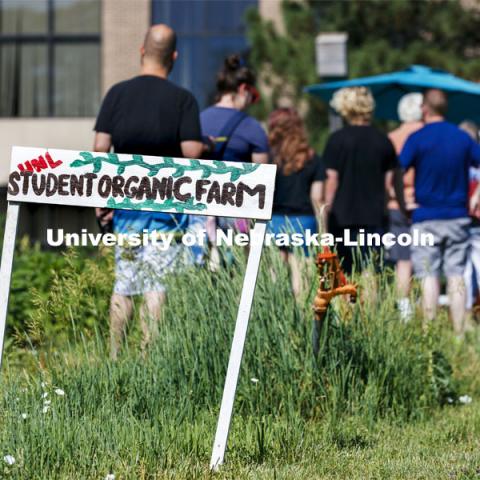 Students work in the Student Organic Garden on East Campus while CSA (Community Supported Agriculture) members pick up their produce. June 12, 2021. Photo by Craig Chandler / University Communication.