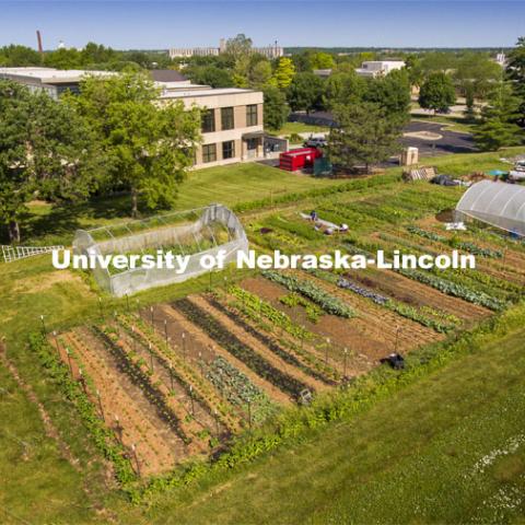 Aerial view of the UNL Student Organic Farm. Students work in the Student Organic Garden on East Campus while CSA (Community Supported Agriculture) members pick up their produce. June 12, 2021. Photo by Craig Chandler / University Communication.