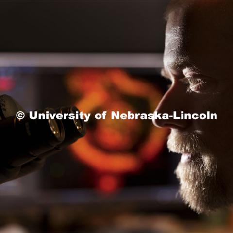 Flow Cytometry Service Center Manager, Dirk Anderson looks at a slice of a corn root being attacked by a parasite. The Morrison Microscopy Core Research Facility in Beadle Hall. Nebraska Center for Biotechnology. June 15, 2021. Photo by Craig Chandler / University Communication.