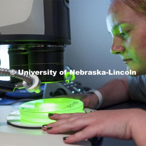 The Morrison Microscopy Core Research Facility in Beadle Hall. Nebraska Center for Biotechnology. June 15, 2021. Photo by Craig Chandler / University Communication.