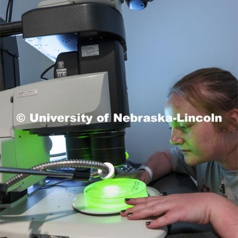 The Morrison Microscopy Core Research Facility in Beadle Hall. Nebraska Center for Biotechnology. June 15, 2021. Photo by Craig Chandler / University Communication.