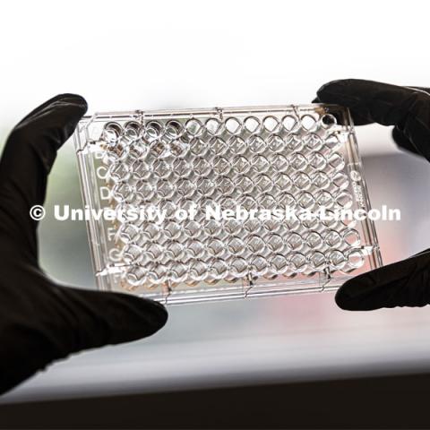 Graduate student Kari Heck places samples into a flow Cytometry analyzer in the Morrison Center for Virology. Nebraska Center for Biotechnology. June 25, 2021. Photo by Craig Chandler / University Communication.