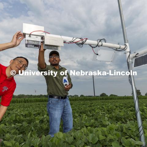 Yufeng Ge and Nipuna Chamara look over a plant remote sensor system being tested at the one-acre field phenotyping site at ENREC, near Mead, Nebraska. Yufeng Ge, Associate Professor of Biological Systems Engineering, is advancing high-tech plant phenotyping to study plant’s physical traits, leading to improved yields, drought resistance. He is photographed in the spider cam field near Mead, Nebraska. July 8, 2021. Photo by Craig Chandler / University Communication.
