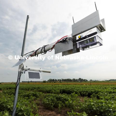 Yufeng Ge, Associate Professor of Biological Systems Engineering, is advancing high-tech plant phenotyping to study plant’s physical traits, leading to improved yields, drought resistance. He is photographed in the spider cam field near Mead, Nebraska. July 8, 2021. Photo by Craig Chandler / University Communication.