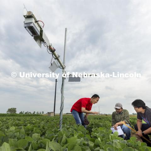 Yufeng Ge talks with Nipuna Chamara and Jun Xiao Zhang as they look over a plant remote sensor system being tested at the one-acre field phenotyping site at ENREC, near Mead, Nebraska. Yufeng Ge, Associate Professor of Biological Systems Engineering, is advancing high-tech plant phenotyping to study plant’s physical traits, leading to improved yields, drought resistance. He is photographed in the spider cam field near Mead, Nebraska. July 8, 2021. Photo by Craig Chandler / University Communication.