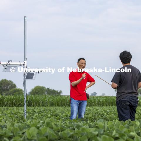 Yufeng Ge talks with Nipuna Chamara and Jun Xiao Zhang as they look over a plant remote sensor system being tested at the one-acre field phenotyping site at ENREC, near Mead, Nebraska. Yufeng Ge, Associate Professor of Biological Systems Engineering, is advancing high-tech plant phenotyping to study plant’s physical traits, leading to improved yields, drought resistance. He is photographed in the spider cam field near Mead, Nebraska. July 8, 2021. Photo by Craig Chandler / University Communication.