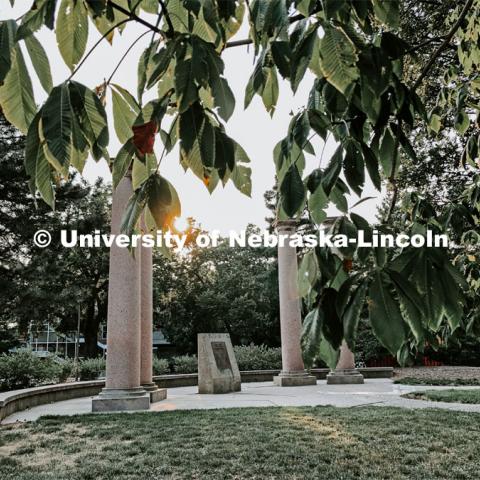 The columns on City Campus. July 21, 2021. Photo by Katie Black / University Communication.