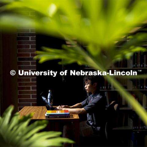 Daniel Nguyen, McNair scholar and senior in psychology, studies in Love Library. July 28, 2021. Photo by Craig Chandler / University Communication.