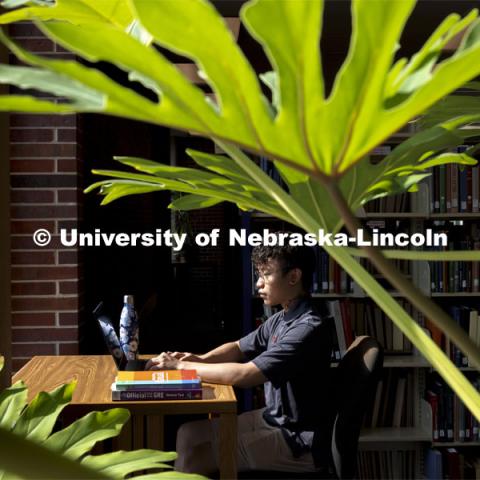 Daniel Nguyen, McNair scholar and senior in psychology, studies in Love Library. July 28, 2021. Photo by Craig Chandler / University Communication.