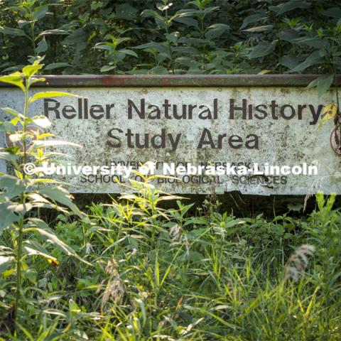 The original signage for the Reller Prairie Field Station hides in the weeds. August 3, 2021. Photo by Craig Chandler / University Communication.
