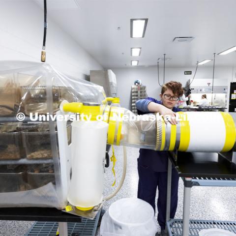 Jordan Harrison, gnotobiotic technician, works with a mouse isolette in the Nebraska Gnotobiotic Mouse Program. August 10, 2021. Photo by Craig Chandler / University Communication.