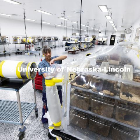 Tammy May, gnotobiotic technician, cleans an interlocking chamber of a mouse isolate in the Nebraska Gnotobiotic Mouse Program. August 10, 2021. Photo by Craig Chandler / University Communication.