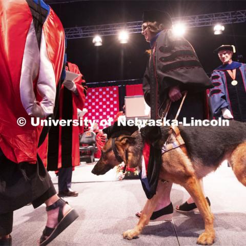 Sheila wears a tam and hood like her owner, Nicole Green. The service dog accompanied Nicole Green across the stage when Green received her doctoral degree in English. Summer Graduate Commencement at Pinnacle Bank Arena. August 13, 2021. Photo by Craig Chandler / University Communication.
