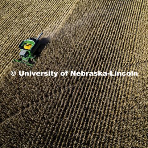 Corn harvest in southeast Lancaster County. October 30, 2021. Photo by Craig Chandler / University Communication.