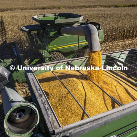 Corn harvest in southeast Lancaster County. October 30, 2021. Photo by Craig Chandler / University Communication.