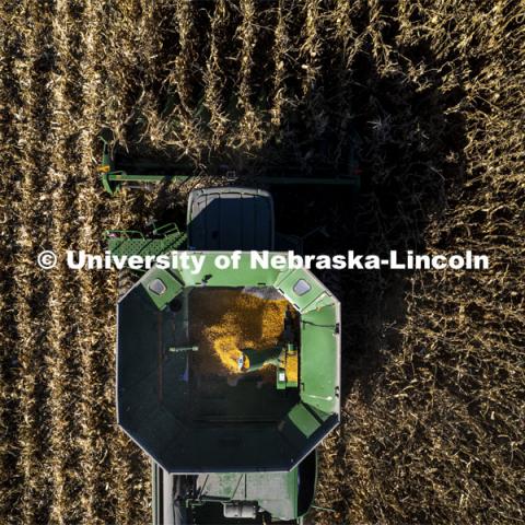 Corn harvest in southeast Lancaster County. October 30, 2021. Photo by Craig Chandler / University Communication.