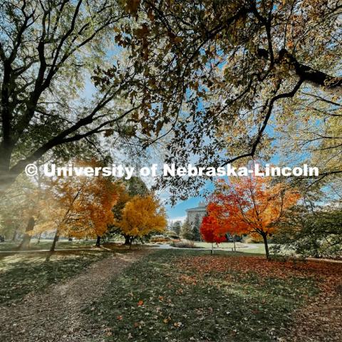 Fall on East Campus. November 6, 2021. Photo by Katie Black / University Communication.