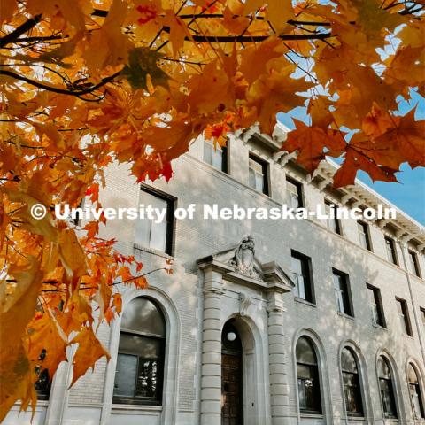 Fall on East Campus. November 6, 2021. Photo by Katie Black / University Communication.