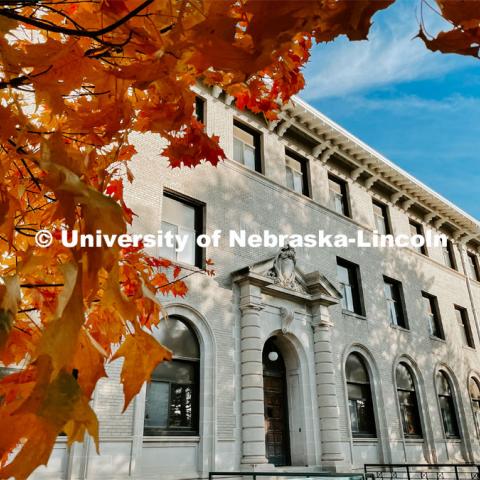 Fall on East Campus. November 6, 2021. Photo by Katie Black / University Communication.