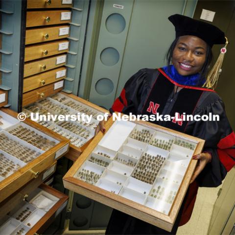 Blessing Ademokoya, a doctoral candidate in entomology, poses with the state museum’s collection of stink bugs. Ademokoya collected more than 3,000 of the various varieties of the bug that inhabit Nebraska. December 7, 2021. Photo by Craig Chandler / University Communication.