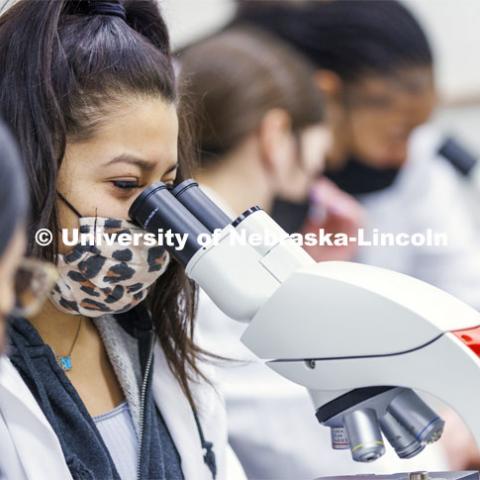 Huskers completing a microbiology and human health (BIOS 111) lab in Beadle Hall use microscopes to view slides they prepared as part of an assignment. January 24, 2022. Photo by Craig Chandler / University Communication.