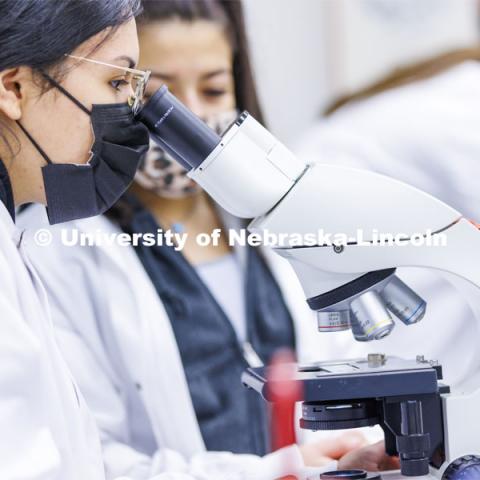 Huskers completing a microbiology and human health (BIOS 111) lab in Beadle Hall use microscopes to view slides they prepared as part of an assignment. January 24, 2022. Photo by Craig Chandler / University Communication.