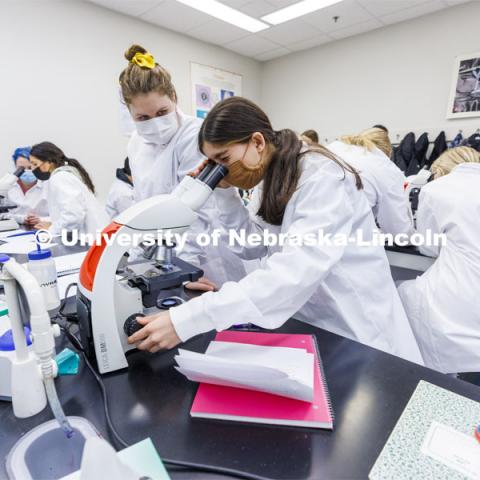 Huskers completing a microbiology and human health (BIOS 111) lab in Beadle Hall use microscopes to view slides they prepared as part of an assignment. January 24, 2022. Photo by Craig Chandler / University Communication.