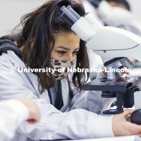 Huskers completing a microbiology and human health (BIOS 111) lab in Beadle Hall use microscopes to view slides they prepared as part of an assignment. January 24, 2022. Photo by Craig Chandler / University Communication.