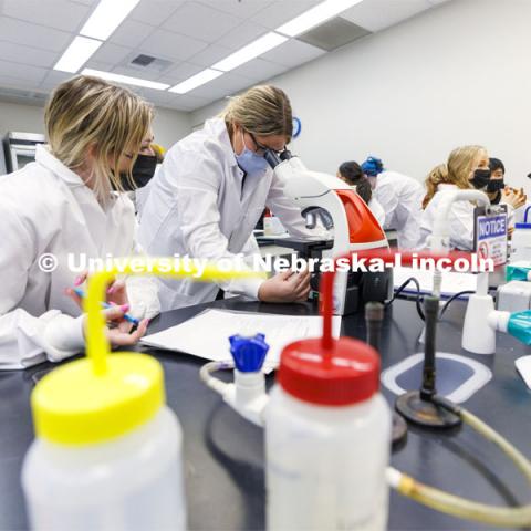 Huskers completing a microbiology and human health (BIOS 111) lab in Beadle Hall use microscopes to view slides they prepared as part of an assignment. January 24, 2022. Photo by Craig Chandler / University Communication.