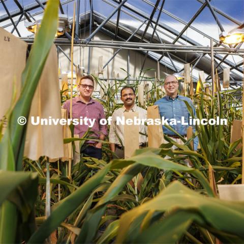 Tomas Helikar, Joe Louis and Scott Sattler are researching sorghum genetics to develop plants that can fend off sugar cane aphids which are attacking sorghum crops in the south and as far north as Kansas. February 8, 2022. Photo by Craig Chandler / University Communication.