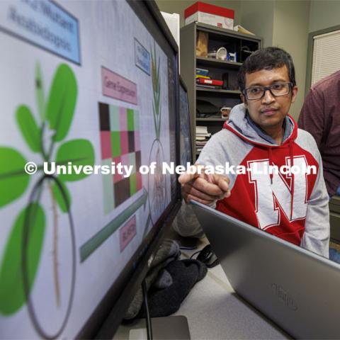 Rajib Saha, assistant professor of chemical and biomolecular engineering, and graduate student Niaz Bahar Chowdhury have created a genome-scale metabolic model for the corn root to study its nitrogen-use efficiency under nitrogen stress conditions. February 23, 2022. Photo by Craig Chandler / University Communication.