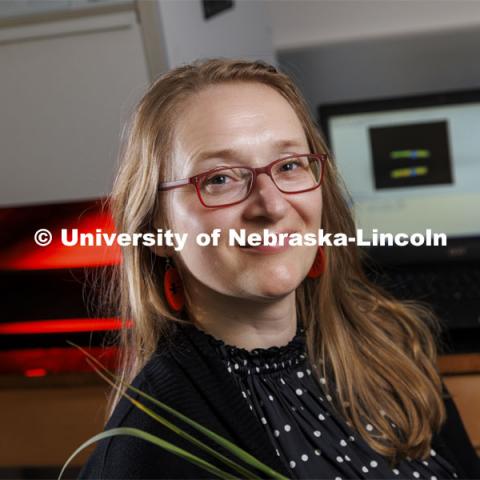Katarzyna Glowacka, Assistant Professor of Biochemistry, is using a five-year, nearly $1.4 million grant from the National Science Foundation’s Faculty Early Career Development Program to study how a process called non-photochemical quenching, or NPQ — a plant’s first-line defense against damage to its photosynthetic machinery — plays a role in enabling miscanthus to fend off cold-induced damage. March 1, 2022. Photo by Craig Chandler / University Communication.