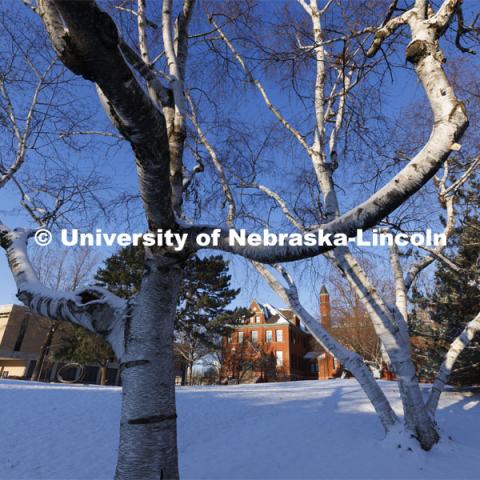 Huskers woke up Monday morning to an inch of snow. March 7, 2022. Photo by Craig Chandler / University Communication.