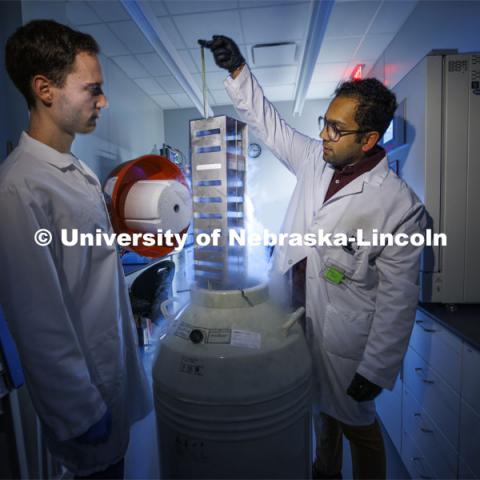 Students in Ryan Pedrigi and Ruiguo Yang’s lab work with microscopes, cell culture experimental equipment. College of Engineering photo shoot. March 30, 2022. Photo by Craig Chandler / University Communication.