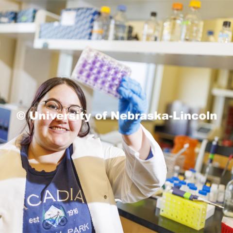 Sarah Altman checks a virus culture as she works in Shi-Hua Xiang’s lab in Morrison Hall. Altman, a junior majoring in biological systems engineering, has been awarded a Goldwater Scholarship. April 12, 2022. Photo by Craig Chandler / University Communication.