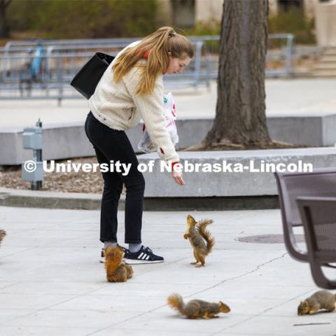 Natalia Vorobeva, a graduate student in chemistry, feeds a ring of squirrels outside the Nebraska Union. April 19, 2022. Photo by Craig Chandler / University Communication.