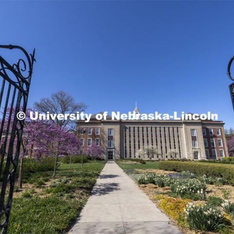 Exterior south facing view of the Love Library on City Campus. April 25, 2022. Photo by Craig Chandler / University Communication.