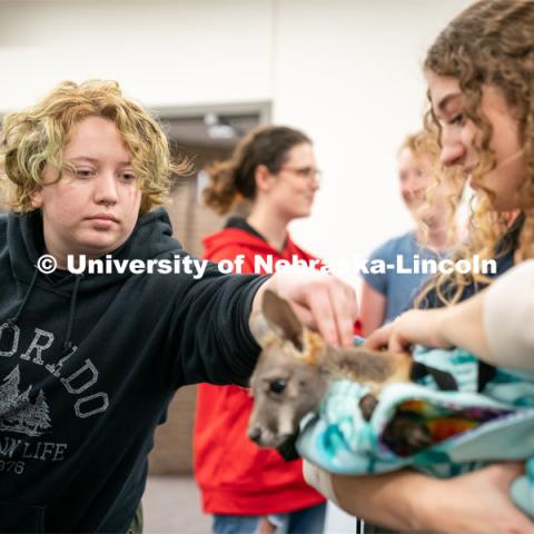 Students pet animals during the End of Year Bash inside the East Campus Union on Saturday, April 30, 2022, in Lincoln, Nebraska.  Photo by Jordan Opp for University Communication
