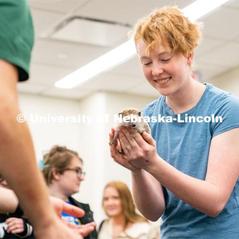 Students pet animals during the End of Year Bash inside the East Campus Union on Saturday, April 30, 2022, in Lincoln, Nebraska.  Photo by Jordan Opp for University Communication
