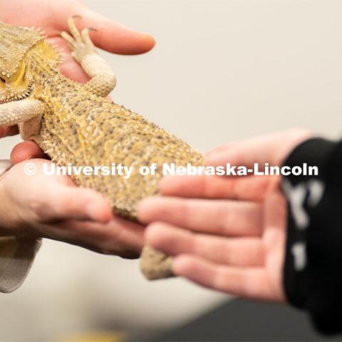 Students pet and hold animals during the End of Year Bash inside the East Campus Union on Saturday, April 30, 2022, in Lincoln, Nebraska.  Photo by Jordan Opp for University Communication
