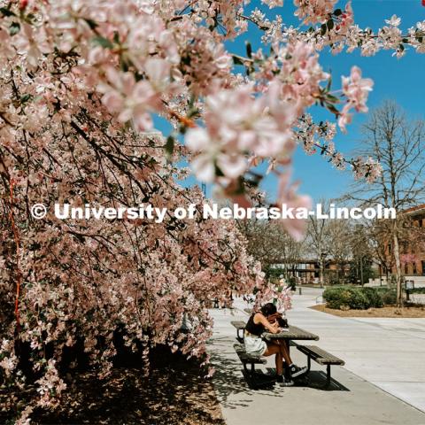 Spring on city campus. Photo by Taylor DeMaro / University Communication.
