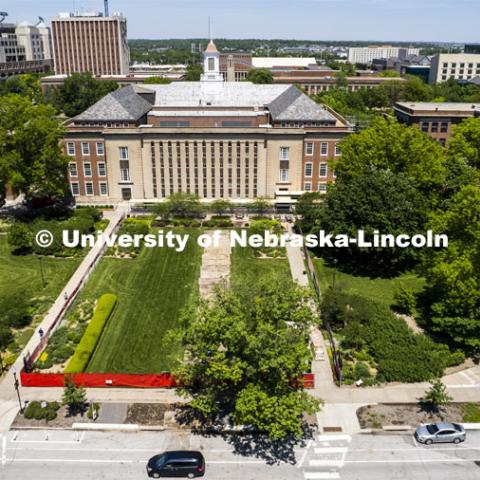 Fencing and screens surround the south lawn of Love Library as the cupola is being renovated. Campus. May 27, 2022. Photo by Craig Chandler / University Communication. 