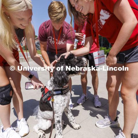 Hershey receives plenty of attention from NSE students outside the Cather Dining Center. Hershey is a 1 1/2 year old labradoodle being trained as a therapy dog. He will be part of the UNL Police Department this fall. June 17, 2022. Photo by Craig Chandler / University Communication.