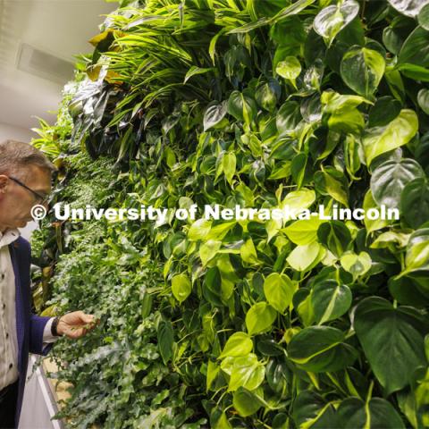 Chancellor Ronnie Green takes a closer look of a living wall in the new wellness area of the law library. The hydroponic wall is made of living plants. Green and donors take a tour of the renovated College of Law library. The $6 million renovation of the Marvin and Virginia Schmid Law Library began in May 2021 will be open in the fall. The project will provide new and rejuvenated spaces for the community. June 22, 2022. Photo by Craig Chandler / University Communication.